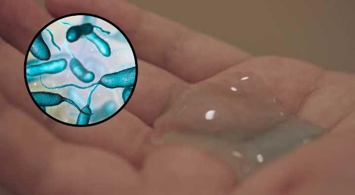 Ordenan retiro inmediato de popular producto de aseo que todos compran por bacteria mortal: revisa si lo tienes en casa