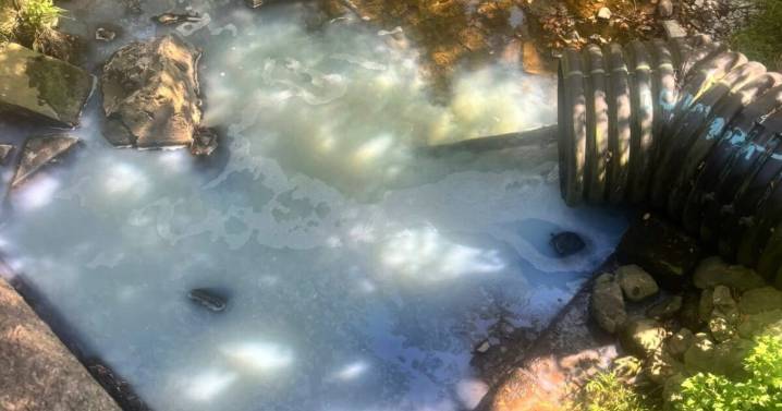 'Human error' caused 6,600-gallon chemical spill in Avon Lake creek