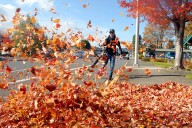 QUIZ: Are you ready to spring into fall?