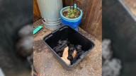 Tiny Babies Left In A Garbage Can In Mississippi Were Moments Away From Drowning But Then A Hero Found Them