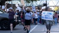 Hundreds protest DMPS Superintendent Ian Roberts' arrest by ICE agents