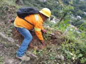 Realiza Coesfo jornada de reforestación en San Isidro Huayápam