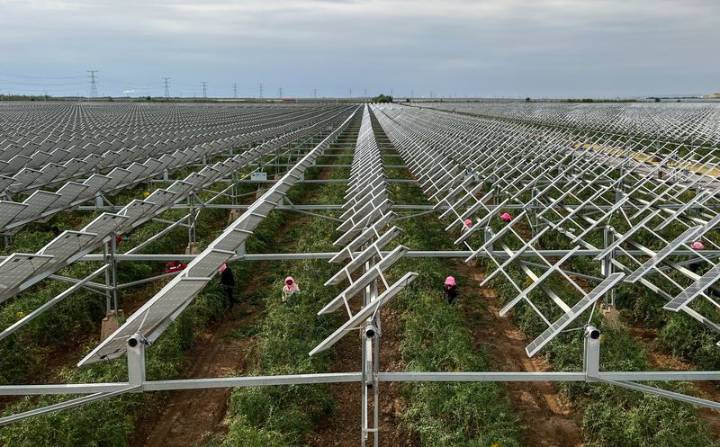 China enlists solar panels in war to halt desert sands