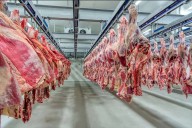 Nación anunció que las retenciones cero para la carne seguirán hasta fin de octubre
