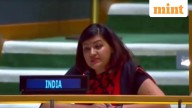 If ‘destroyed runway’ means victory…: India slams Pak at UN