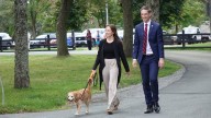 N.L. will head to the polls on Oct. 14 for provincial election