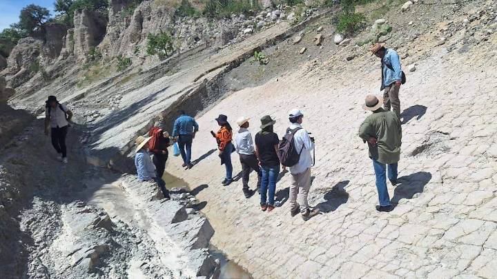 Tehuacán y el INAH investigan hallazgo de huellas de dinosaurios en la región