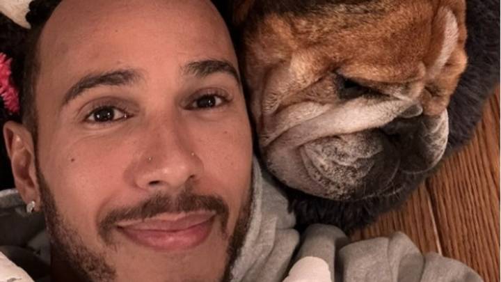 Lewis Hamilton mourning loss of beloved dog Roscoe