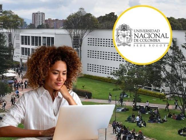 Concurso Mixto de Méritos UNAL 2025: Lista de admitidos y no admitidos de la convocatoria