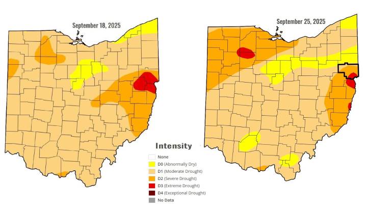 Recent rain lessens Valley drought