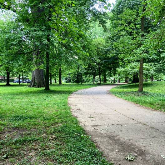 Jazz in Central Park returns this month, following social media mixup