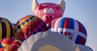 For sale: The world’s largest flying pig