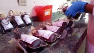 Llaman a donar sangre de manera voluntaria ante déficit de este fluido en el hospital de Carúpano