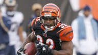 Rudi Johnson dead at age 45 as 'heartbroken' NFL fans pay tribute to former Cincinnati Bengals running back