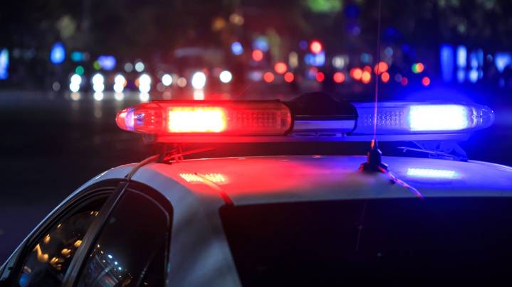 Roanoke Island woman faces multiple charges after disturbance in NC