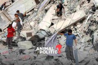 Israel destruye edificio de viviendas en Gaza; desplazan a afectados a zona "humanitaria"