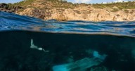«No solo deja huella en quienes viajan en ella, también en el mar»: el vídeo de una patera hundida en el Delta que interpela al Govern