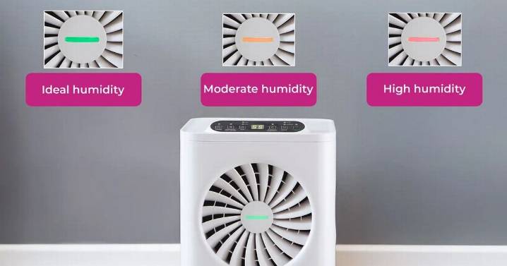 'Quiet, compact' dehumidifier that 'dries laundry quickly' now over £100 off