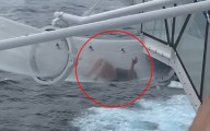 Pasajera queda atrapada en tobogán de crucero a 48 metros de altura