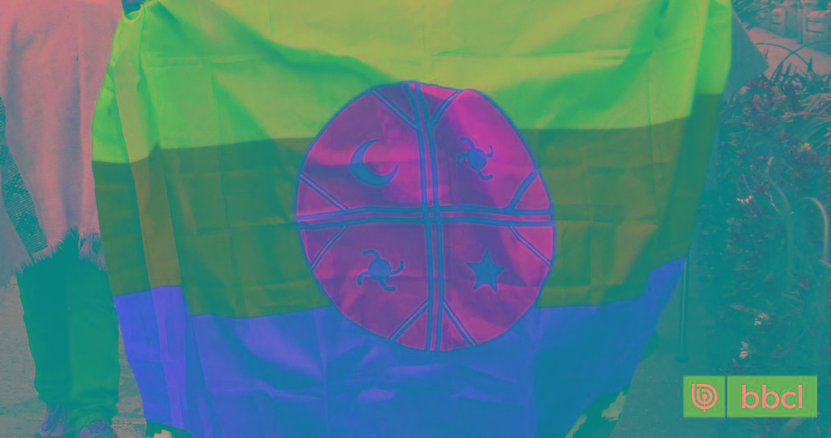 Comunidades mapuche rechazan consulta indígena en San José de Mariquina