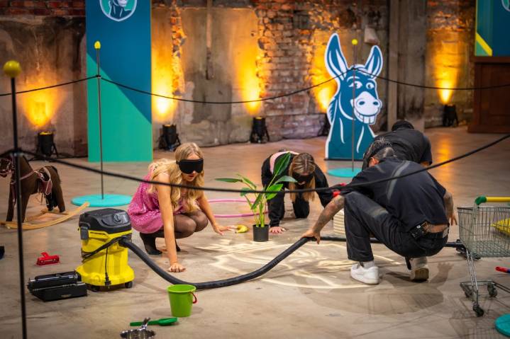 Euro Networks Seek 'Nation's Dumbest