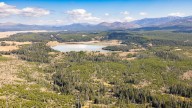 Yellowstone: Bear injures solo hiker on Turbid Lake Trail, now closed