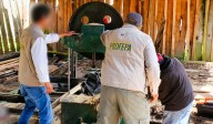 Desmantelan 3 aserraderos ilegales durante operativos en Bosque de Agua