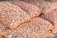 Nuez pecán: Entre Ríos concentra más de la mitad de la producción nacional