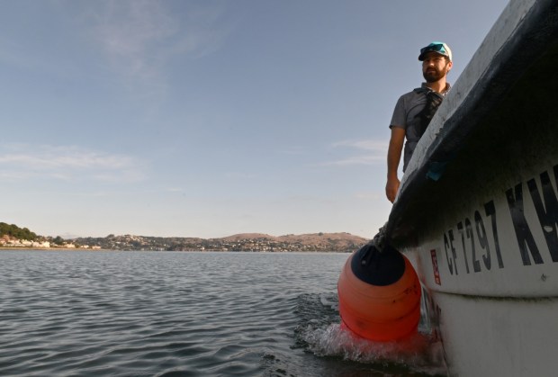 ‘Spirit of optimism’ as Richardson Bay restoration progresses