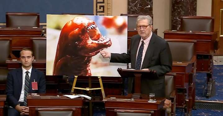John Kennedy Warns of ‘Radioactive Shrimp’ in Senate Floor Speech