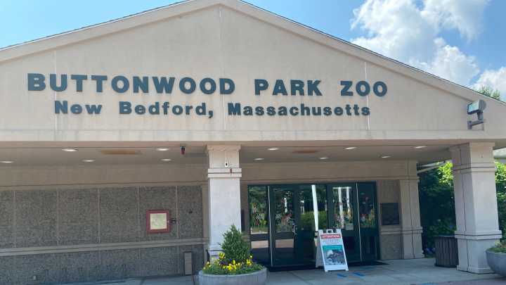 AZA accredits Buttonwood Park Zoo, naming it among the nation’s best