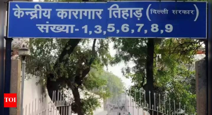 'Last rites must be respected': HC junks plea to remove Afzal Guru's grave from Tihar; PIL cited 'glorification'