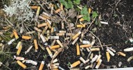 New environmental campaign aims to rid Stirling streets of dumped cigarette butts