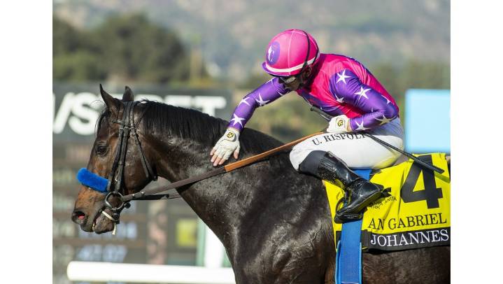 Day of big races at Santa Anita is pivotal for turf star Johannes