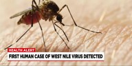 First human case of West Nile Virus detected in Massachusetts