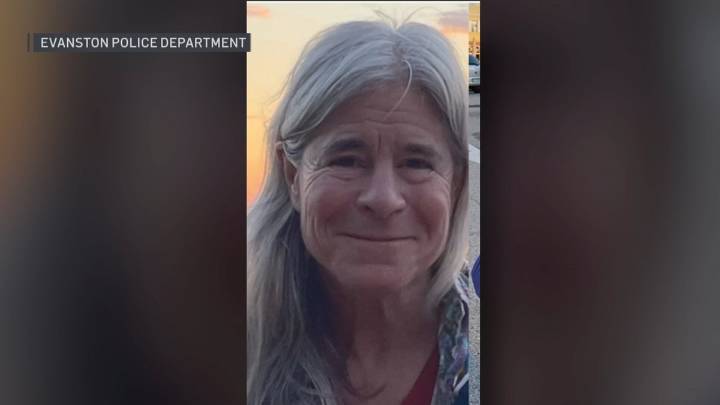 Nina Kraus, Northwestern Professor, reported missing