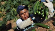 Ante la revisión del T-MEC, ¿Seguirán siendo socios México, Estados Unidos y Canadá?