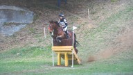 How to stop your horse running out at skinny jumps with Ginny Elliot’s tips