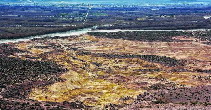 Indignación en Roca: hallaron animales muertos en Paso Córdoba y vecinos piden respuestas