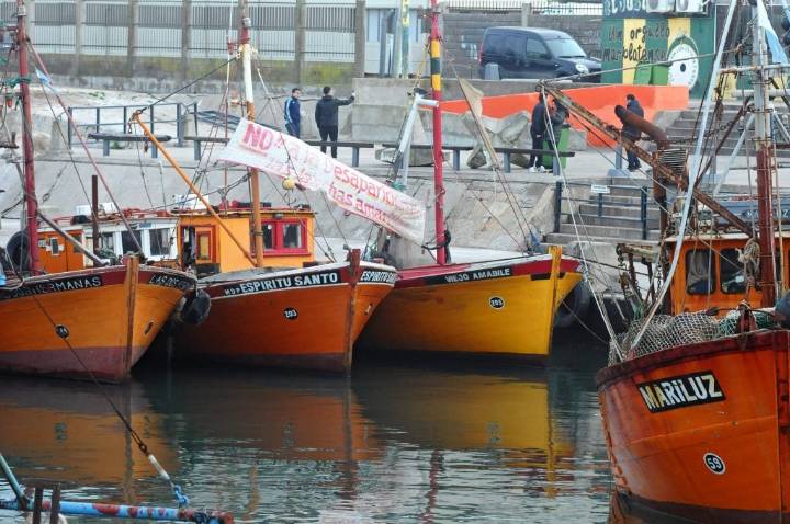 Se hundió otra lanchita amarilla en el Puerto de Mar del Plata