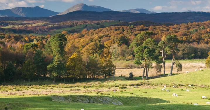 The North West forest that’s among England’s top spots for colourful leaves this autumn