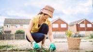 The Daisy-Like Weed You May Not Want Growing In Your Yard