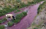 Edomex, el primero en contaminar el Atoyac de Puebla y Tlaxcala: Federación