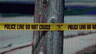 Pregnant woman killed in hit-and-run while crossing street, driver remains at large: Police