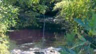 DEP releases report on purple water in Halter Creek