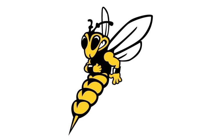 Yellowjackets report: UWS wins three of four at Stinger Classic