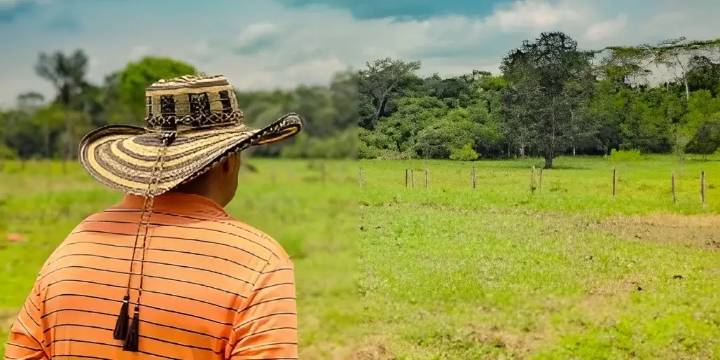 En Huila, el festín de tierras a precios exorbitantes