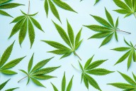Cannabis Use Increases Diabetes Risk Nearly Fourfold