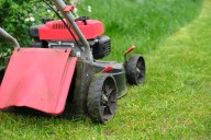 Canadian couple charged with mowing swastika into front lawn