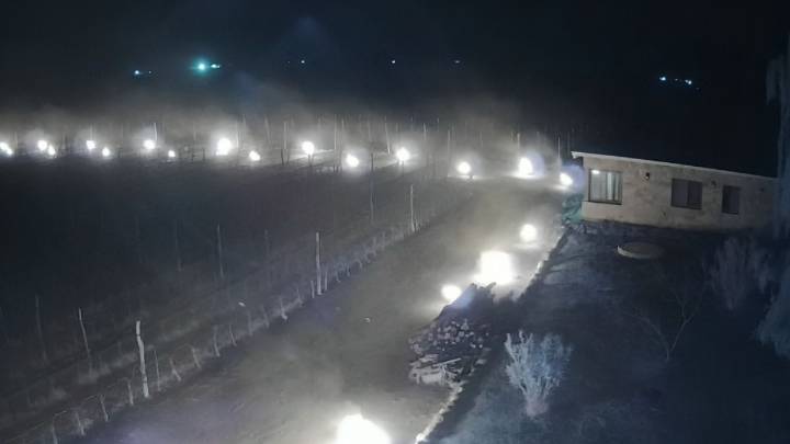 Hubo heladas en zonas productivas de Mendoza y esperan el reporte de daños